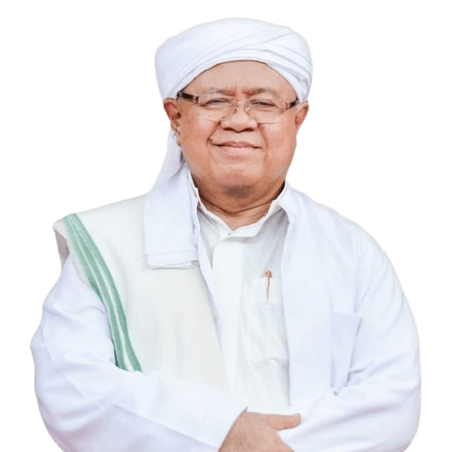 Logo PIP PKB